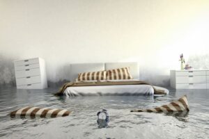 Excellent water damage restoration residential